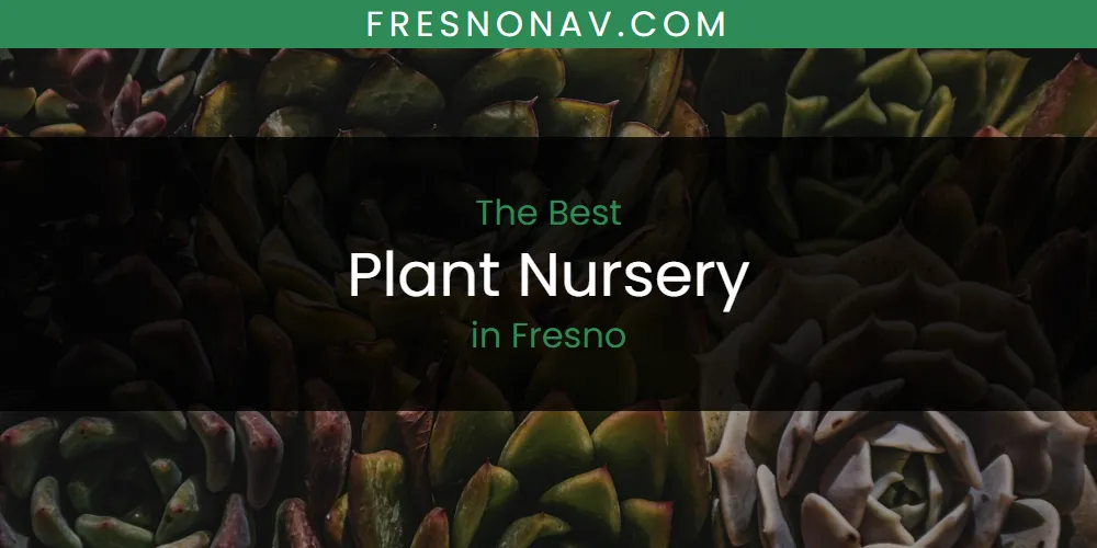The Absolute Best Plant Nursery in Fresno featured