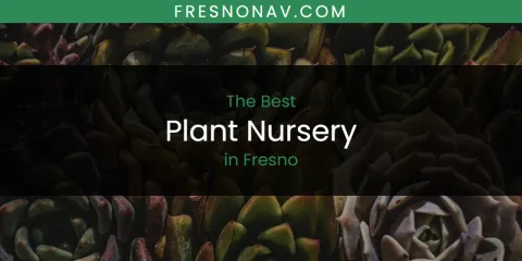 The Absolute Best Plant Nursery in Fresno