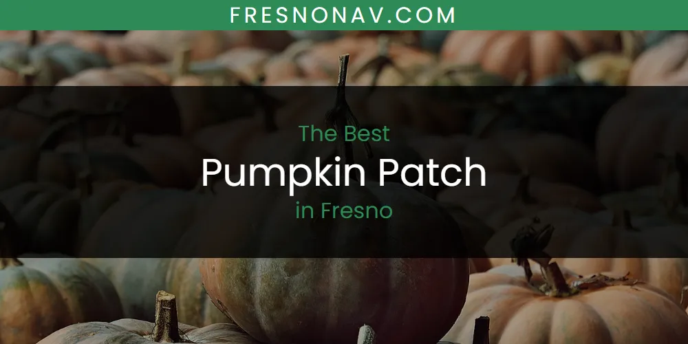 The Absolute Best Pumpkin Patch in Fresno  [Updated 2025]