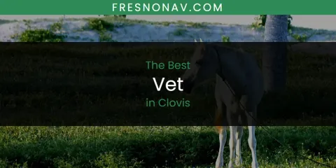 The Top-Rated Vet in Clovis