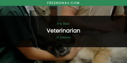 The Absolute Best Veterinarian in Fresno